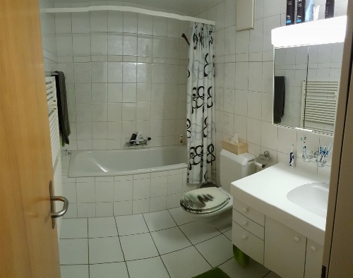 Ferienwohnung mit Sicht auf die Berge (Nähe Flims/Laax) image 2