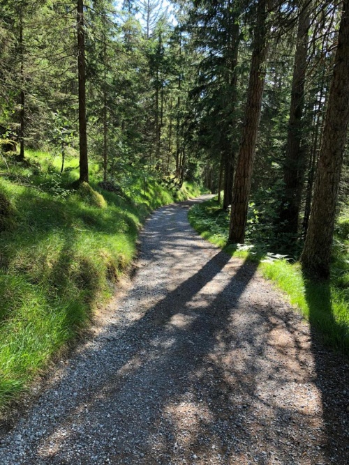Ferienwohnung mit Sicht auf die Berge (Nähe Flims/Laax) image 28