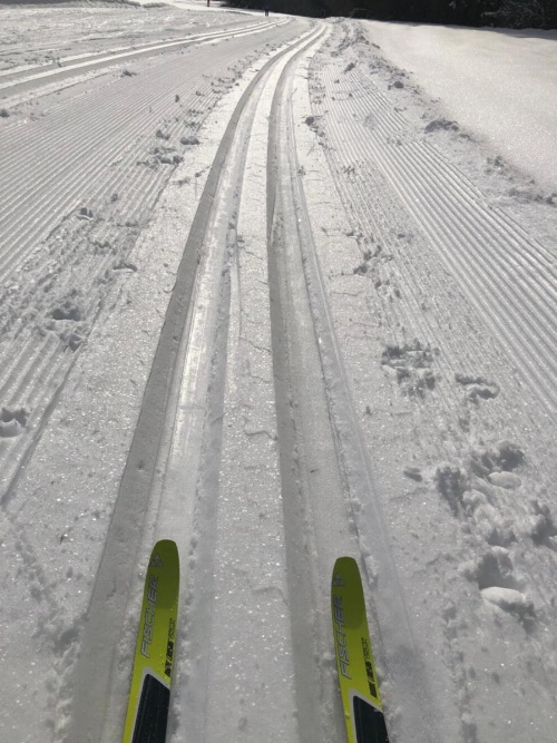 Ferienwohnung mit Sicht auf die Berge (Nähe Flims/Laax) image 36